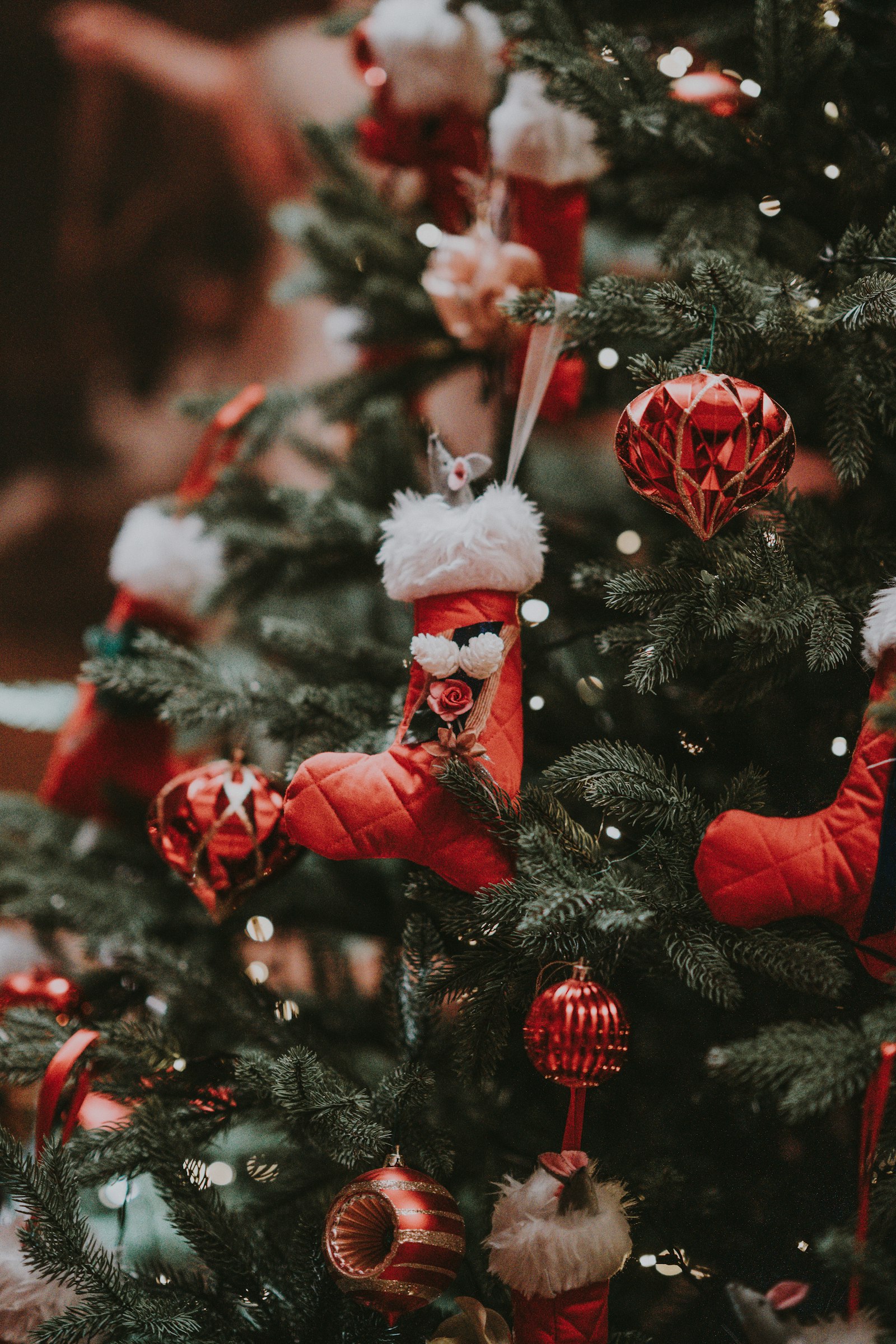 Christmas Events at Widening Horizons